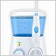 perfect smile water flosser price