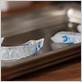 perio trays gum disease