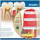 periodontal gum disease treatment antibiotics
