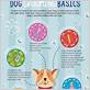 pet grooming tips