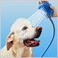 pet shower hose