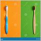 plastic vs bamboo toothbrush