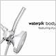 powerpulse waterpik body wand