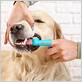 prevent gum disease in dogs