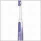 price chopper toothbrush electric