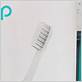 quip toothbrush net worth