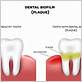 relationship of plaque to dental cavities and gum disease