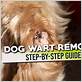remove dog wart with dental floss