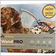 remove dogs plagie with waterpik