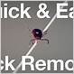 remove tick with dental floss