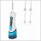 replacement batteries for insmart oral irrigators