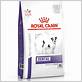 royal canin dental chews for dogs