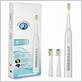 seago toothbrush review