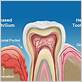 seal beach gum disease treatments