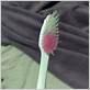 serratia marcescens on toothbrush