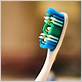 sharing toothbrush risks
