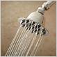 shower head with nozzle