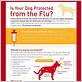 signs and symptoms of dog flu