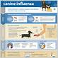 signs of canine flu