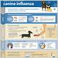 signs of dog influenza