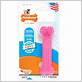 site www.amazon.com nylabone pink dental puppy bone chew