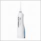 smartoiletries water flosser professional cordless reviews