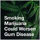 smoking weed gum disease reddit