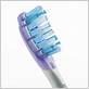 sonicare toothbrush reviews consumer reports