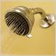 squealing shower head