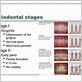 stage 2 grade b periodontitis