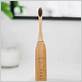 sustainable electric toothbrush
