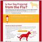 symptoms of a dog flu