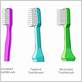 toothbrushes with names