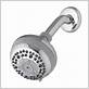 walmart canada waterpik shower head