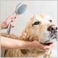 washing dog in shower