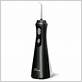 water flosser professional cordless top 5