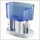 waterpik classic water flosser wp 60