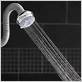 waterpik nml 603 flexible shower head