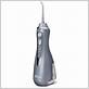 waterpik portacle flosser head