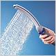 waterpik ppr-252 pet wand pro shower sprayer