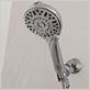 waterpik shower clean pro