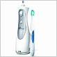 waterpik wp 440w