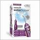 waterpik wp-565 orchid walmart