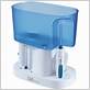 waterpik wp-65 w