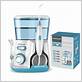 waterpulse v300 dental flosser shopify