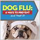 what are the dog flu symptoms