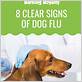 what are the symptoms of a dog flu