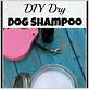 what can i use if i don't have dog shampoo