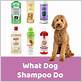 what do dog groomers use to wash dogs