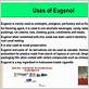 what is eugenol used for
